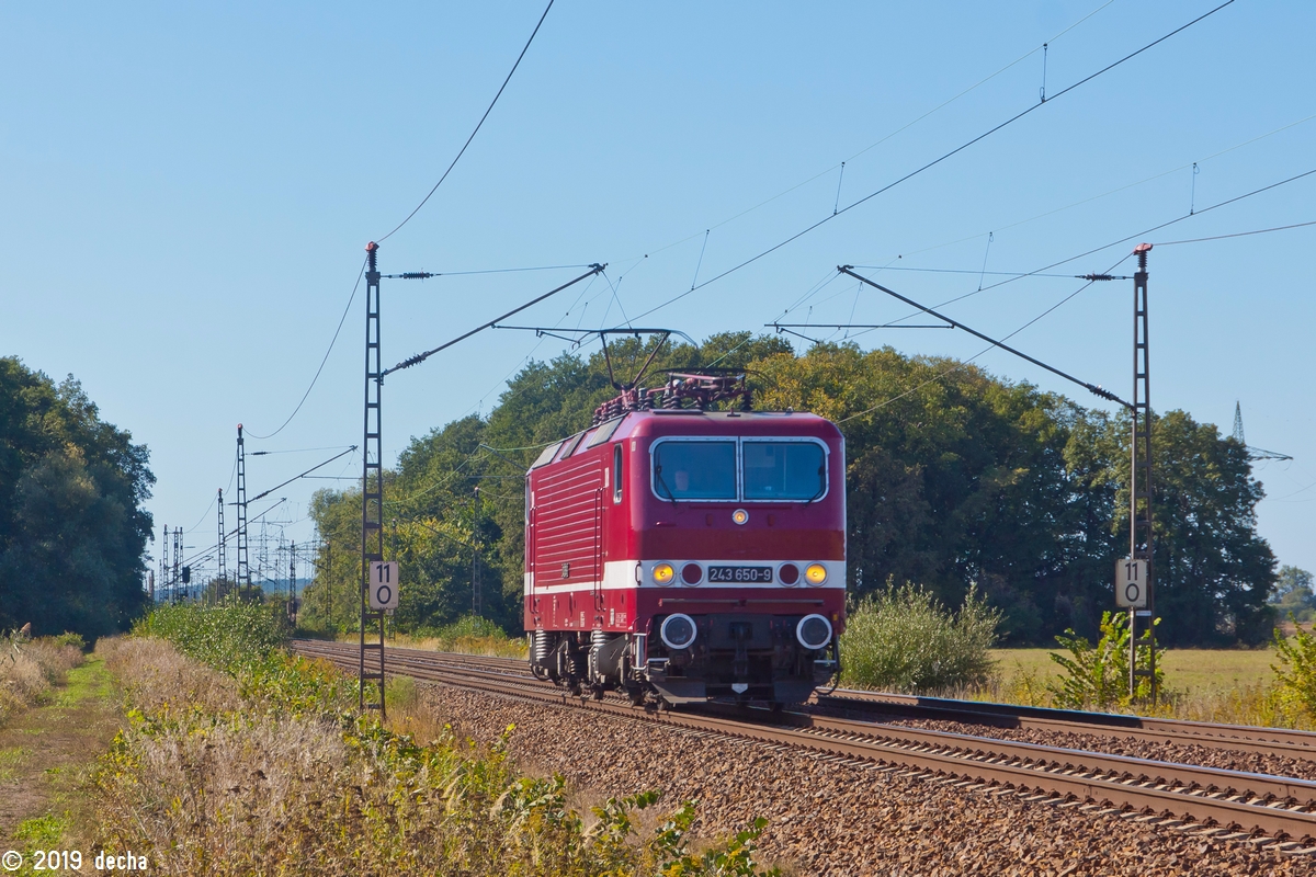 243 650-9