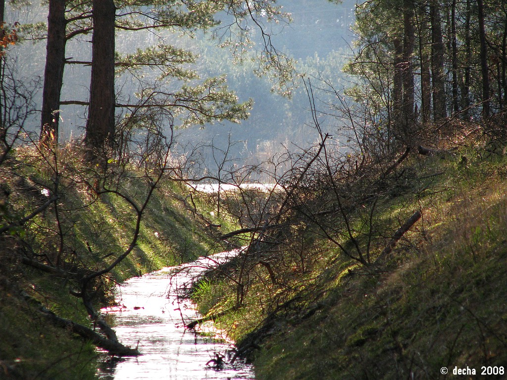 Jezioro Bledzewskie