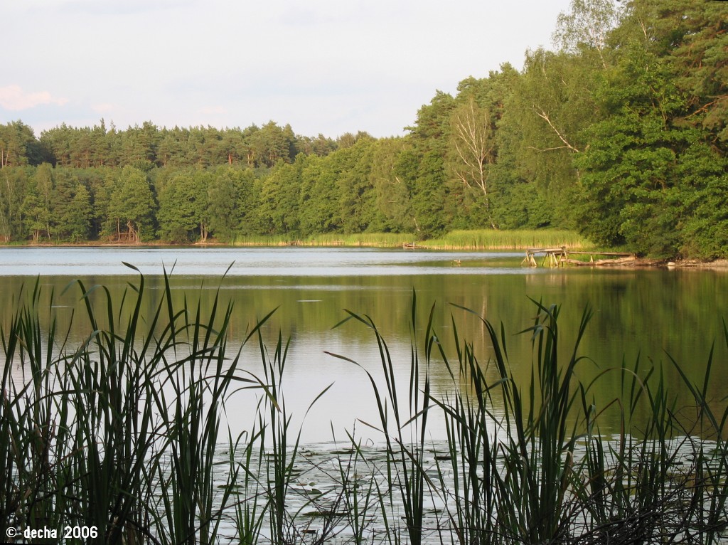 Jezioro Rzepsko