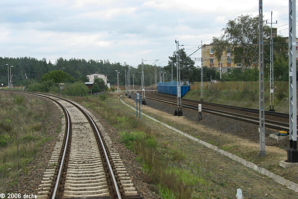 Rzepin