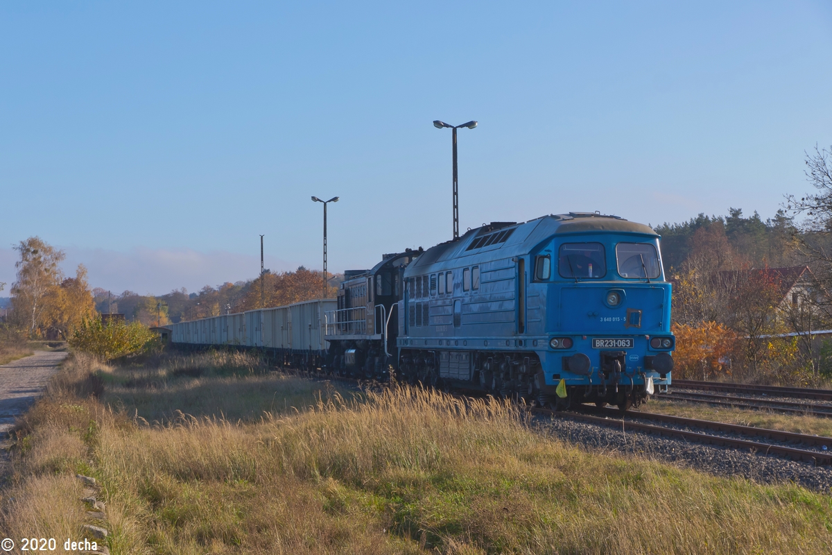 BR231-063 & TEM2-065