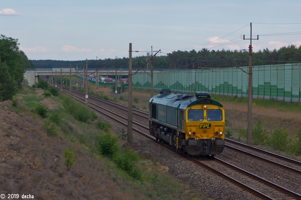 66003