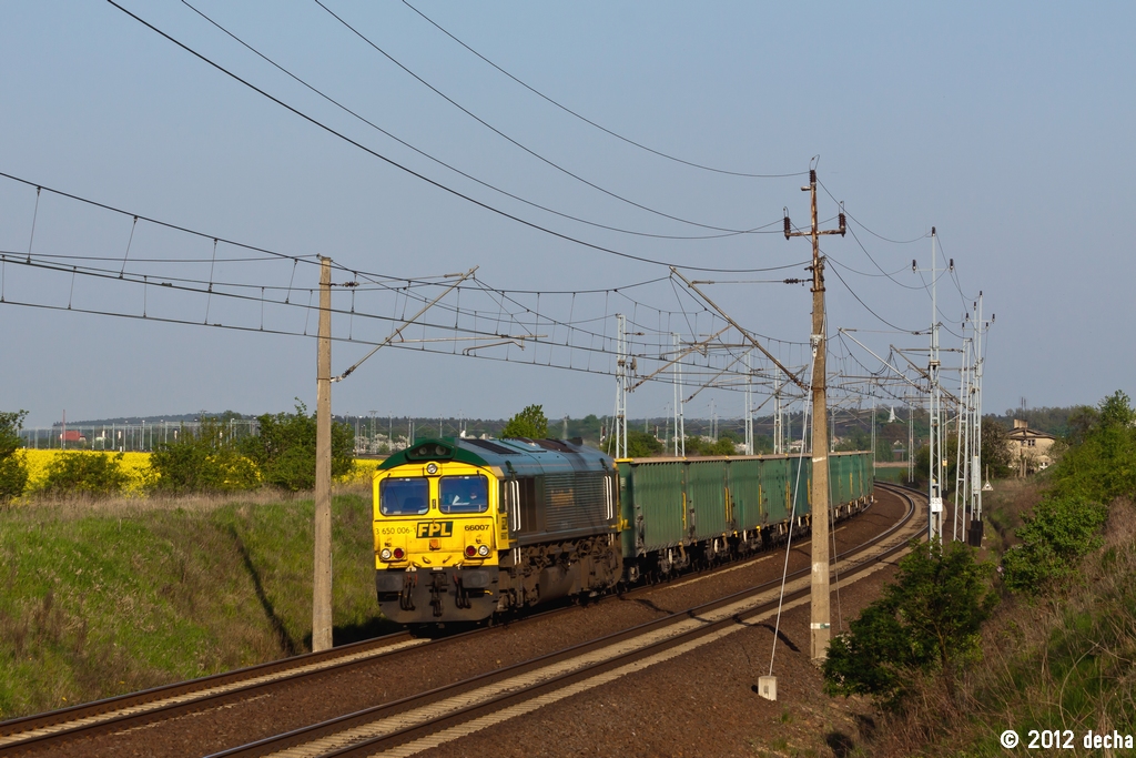 66007