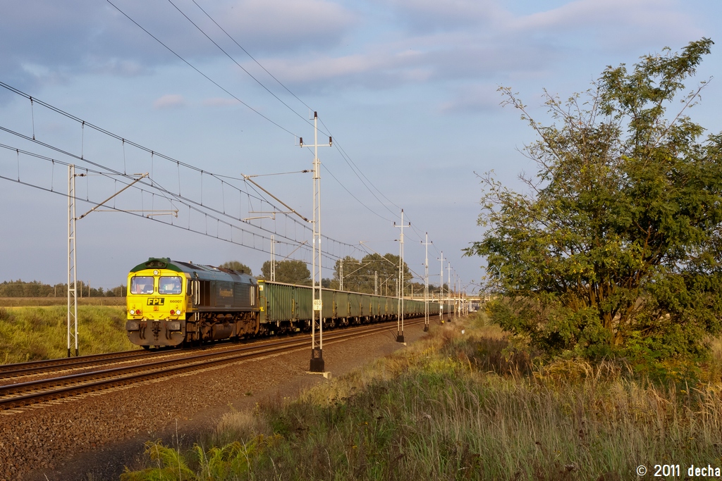 66007