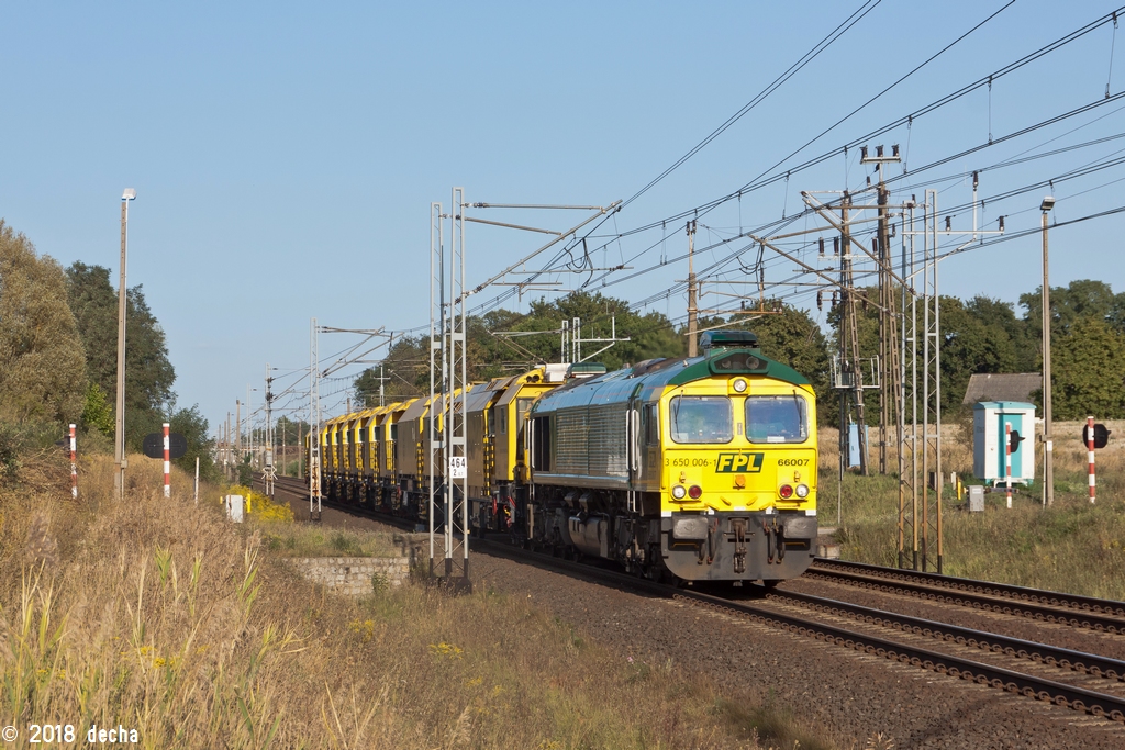 66007
