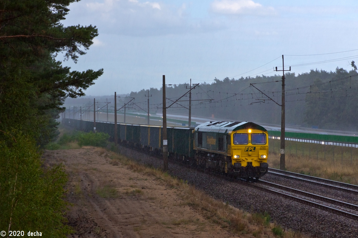 66016