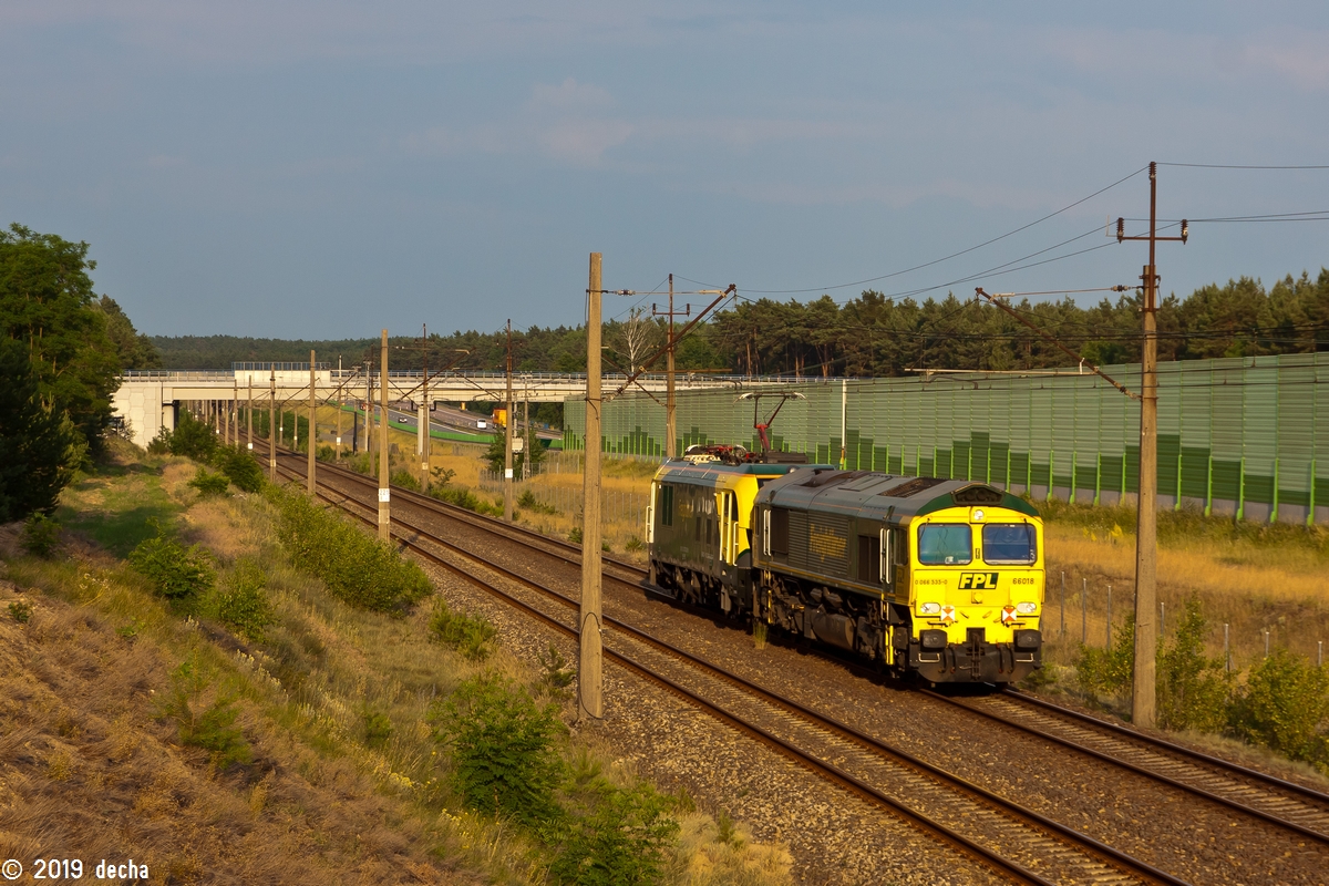 66018