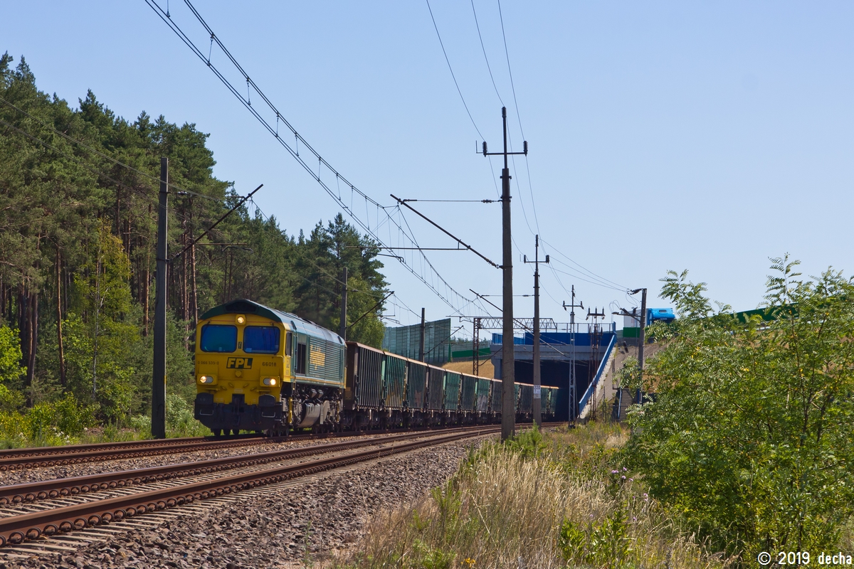 66018