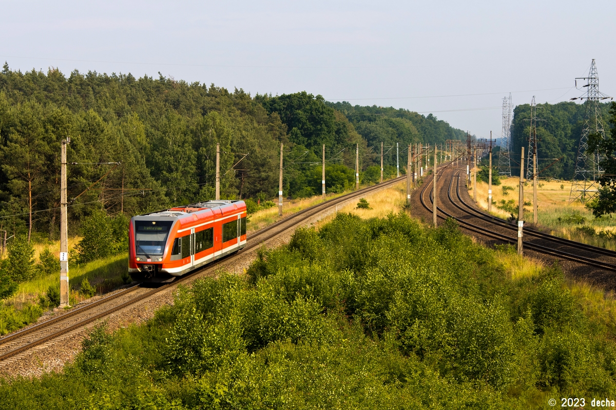 646 029-8