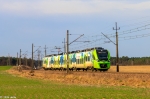31WEbb-021