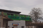 Strzegom