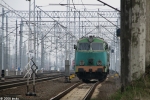SU45-239