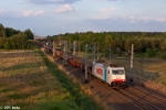 E186 137