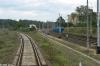 Rzepin