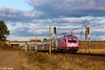 5 370 006