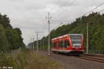 646 029-8